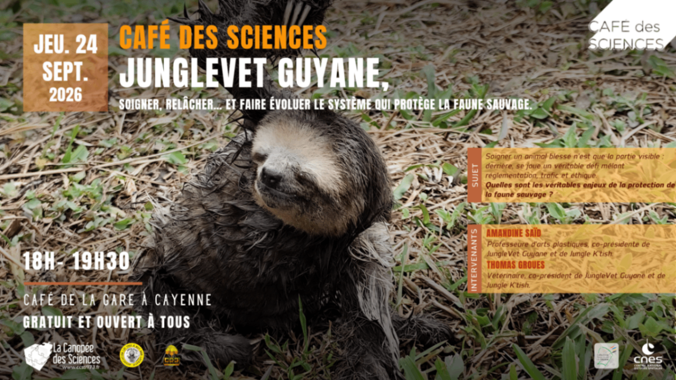 Café des Sciences: Soigner les animaux et les relacher